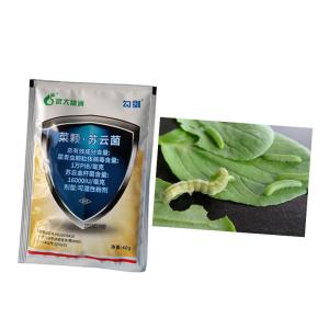 Wholesale Bio Virus Pesticide PrGV BT Powder Spray Insecticide for Vegetable Planting Farmland from china suppliers
