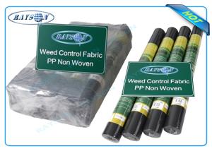 Wholesale Biodegradable Non Woven Landscape Fabric Roll Packing for Garden Plant Protection from china suppliers