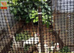 Wholesale Heavy Duty Poultry Fence , Plastic Poultry Netting , HDPE Materilas , Black Color , Chicken Netting from china suppliers