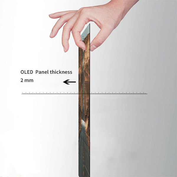 32/55 Inch 1080p Android OLED Digital Signage