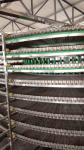 High Quality and Efficiency IQF Spiral Freezer- Food Freezing Machine