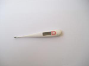 Wholesale Digital baby Thermometers Single button thermometer CE RHOS Certification from china suppliers