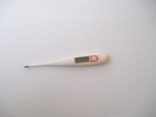 Digital baby Thermometers Single button thermometer CE RHOS Certification