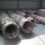 ASTM AISI Ss Spring Wire 0.5mm 0.7mm 0.8mm Stainless Steel Wire 304 316