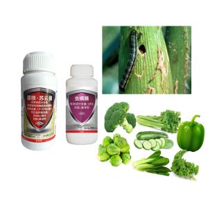 Wholesale AcNPV Bt Chlorfenapyr SC Fruit Tree Pesticides Cabbage Root Maggot Insecticide from china suppliers