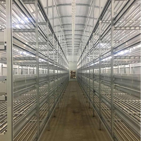 Durable Outdoor Mushroom Greenhouse Customized Length For Efficient Space