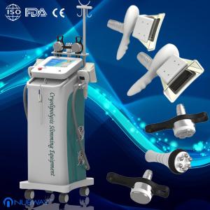 Wholesale Fat Freezing fat removal weight loss cryolipolysis slimming machine for acre loss spa from china suppliers