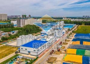 Wholesale Stainless Steel Automatic Biodiesel Equipment 220V/380V Cost And Energy Saving from china suppliers