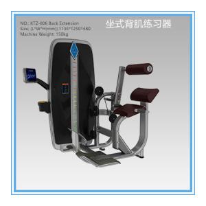 Leather Seated Back Extension Machine , Commercial Grade Fitness Exercise Equipment