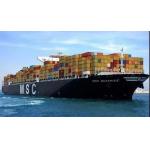 China International Sea Freight Shipping by Sea From Qingdao to Belgrade for sale