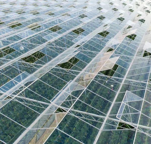 Hydroponics Cultivation Method Commercial Heating Garden Glass Greenhouse for