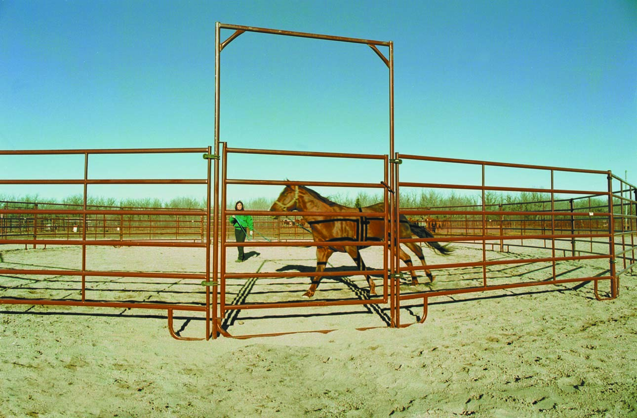 12FT Corral Fence