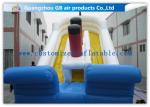 Popular Titanic Commercial Inflatable Water Slides Double Sided Outdoor