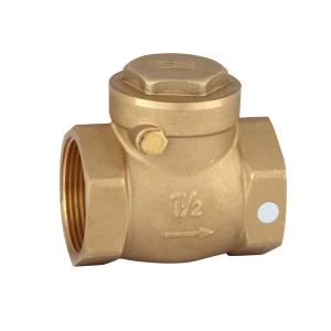 China 2 Inch Brass Non Return Valve Swing Check Valve Sping Check Valve on sale