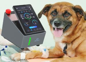China 10min Veterinary Laser Therapy Machine 915nm Equine Laser Therapy Equipment on sale