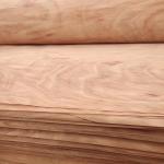 Natural Wood Rotary Cut PQ Veneer Sheet With 0.15-0.3mm For Plywood