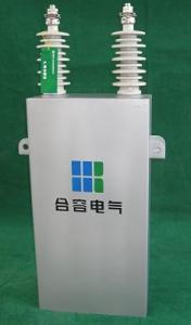 Wholesale Herong Electric 50Hz / 60Hz High Voltage Shunt Power Capacitor from china suppliers