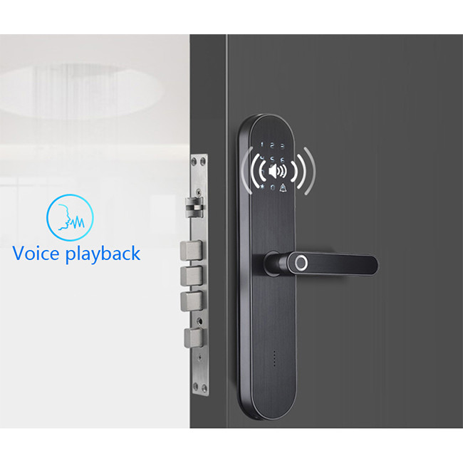 Password Tuya Smart Door Lock Inteligent Star Gray With Magnetic Card