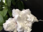 SGS And OEKO Lyocell Staple Fiber 38MM Fiber Length For Non-Woven Fabric