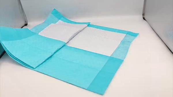 22 X 22 Inch Training Pads Pet underpad Disposable Underpads for Adult dogs and