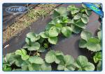 Black 40 Gram Heavy Duty Agriculture Non Woven Cover , Weed Control Cloth With