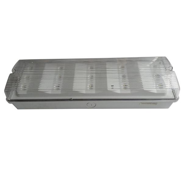 Ceiling Surface Mounted IP65 Waterproof Emergency Light Non Maintained 50Hz /
