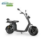 EcoRider Fat Tire 2 Wheel Electric Bicycle , On Off Road Eletric Scooter With