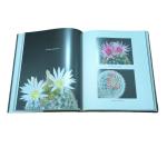 Desert Jewels Customizable Full Color Glossy Art Paper Printing For Coffe Table