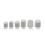 24 410 Shampoo Disk Top Cap
