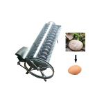 5*6 total 30 pcs single handed large suction eggs factory supplying pump egg