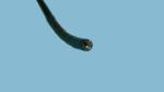 PCF-Q260JI Medical Endoscope 140 Deg Wide Field Of View And 10.5mm OD For