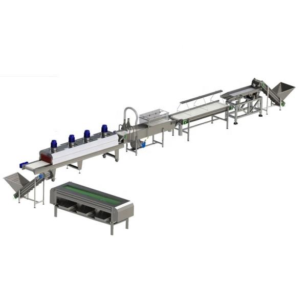 Industrial Automatic Dates Palm Syrup Machine Production Line for Food Beverage
