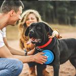 Costom Slow Feeder Dog Bowl Tpe Rubber Dog Bowl Travel Drink Feeder