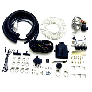 Wholesale CNG LPG Cars Multipoint Conversion Kits With 48 Pin ECU IG1 Injector Rail AT12 Reducer from china suppliers