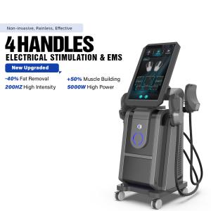 Wholesale Newest 14Tesla Ems Magnetic Stimulator Muscle Increase Building Pelvic Floor Chair Beauty Machine with 2 Power Supply from china suppliers