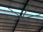 Large Ventilation Six Aluminum Blades Gearbox Ceiling Fan