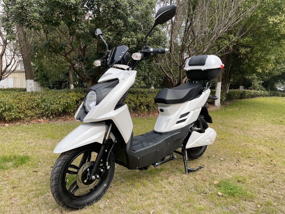 48V 800W Pedal Assisted Electric Scooter With LCD Display 20Ah Lead Acid Battery