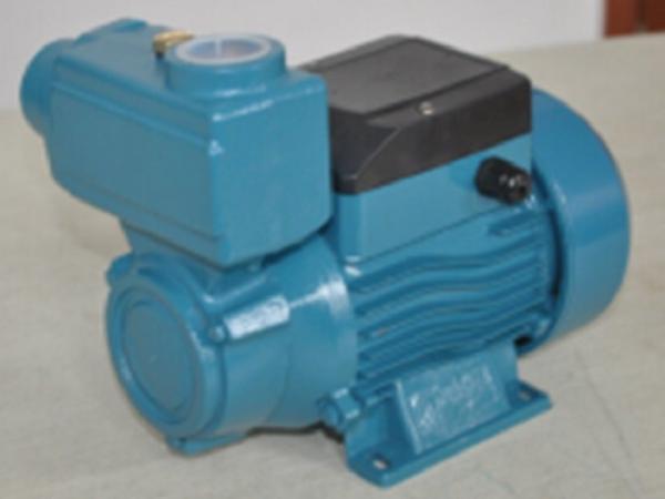 Domestic Electric Clean Water Pump , Vortex Impeller Pump 0.75HP / 0.55KW 45L