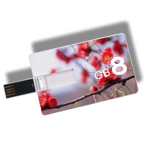 Wholesale Kongst OEM custom logo credit card usb , promotional gifts usb card , usb business card 1g from china suppliers