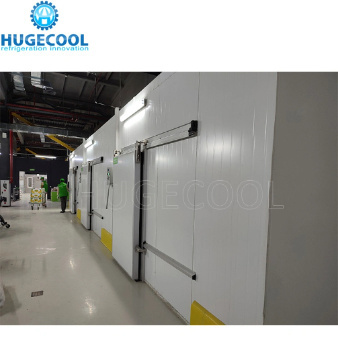 Cold Room Freezer and Cooler Room with Refrigeration System