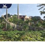 Lifelike High Simulation Realistic Dinosaur Models For Outdoor Theme Park