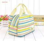 Reusable Bulk Aluminium Cooler Bag , Outdoor Indoor Lunch Box Cooler Bag