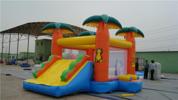 Quality Backyard Water Slide Bounce House , Popular Inflatable Castle Bounce House for sale