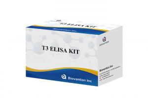 China Triiodothyronine T3 Elisa Test Kit 96 Tests Elisa Blood Serum Test on sale