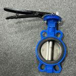 DN100 Stainless Steel Butterfly Valve All Purpose PTFE And Vinyl With Durable