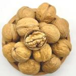 Walnut wholesale kernel walnut Factory price Food supplements walnuts peptide