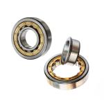 Single Row ECP Nj 204 Bearing Single Row Cylindrical Roller 20x47x14mm NJ204ECM
