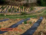 100% pp cover fabric weed control mat weed barrier Anti weed mat,Supply heavy