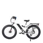 48V500W Drive Most Attractive Aluminum Alloy Frame Electric Commuter Bike for