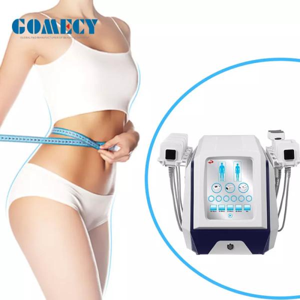 Portable True Sculpting ID Body Slimming Fat Burning Machine Belly Shaping Fat
